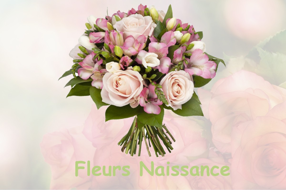 fleurs naissance BEAUNE-LA-ROLANDE